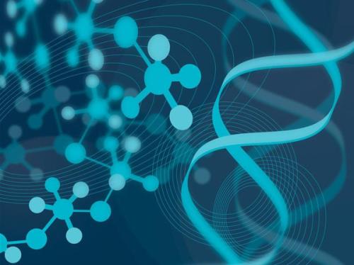 高齡妊娠中胚胎植入前遺傳學篩查的關鍵作用與數(shù)據(jù)處理技術